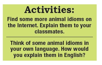 Animals Idioms_03