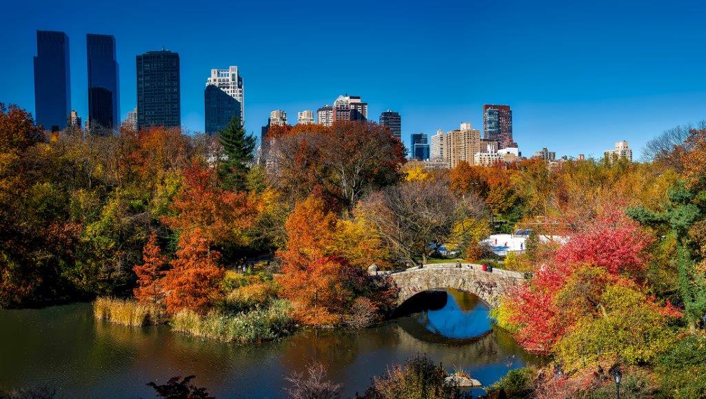 central-park-new-york